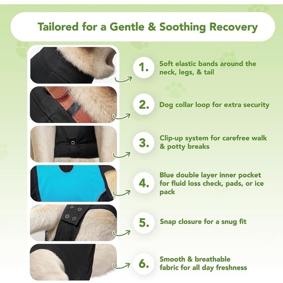 Suitical Recovery Suit Dog, Small Plus, Black - Picture 2 of 12